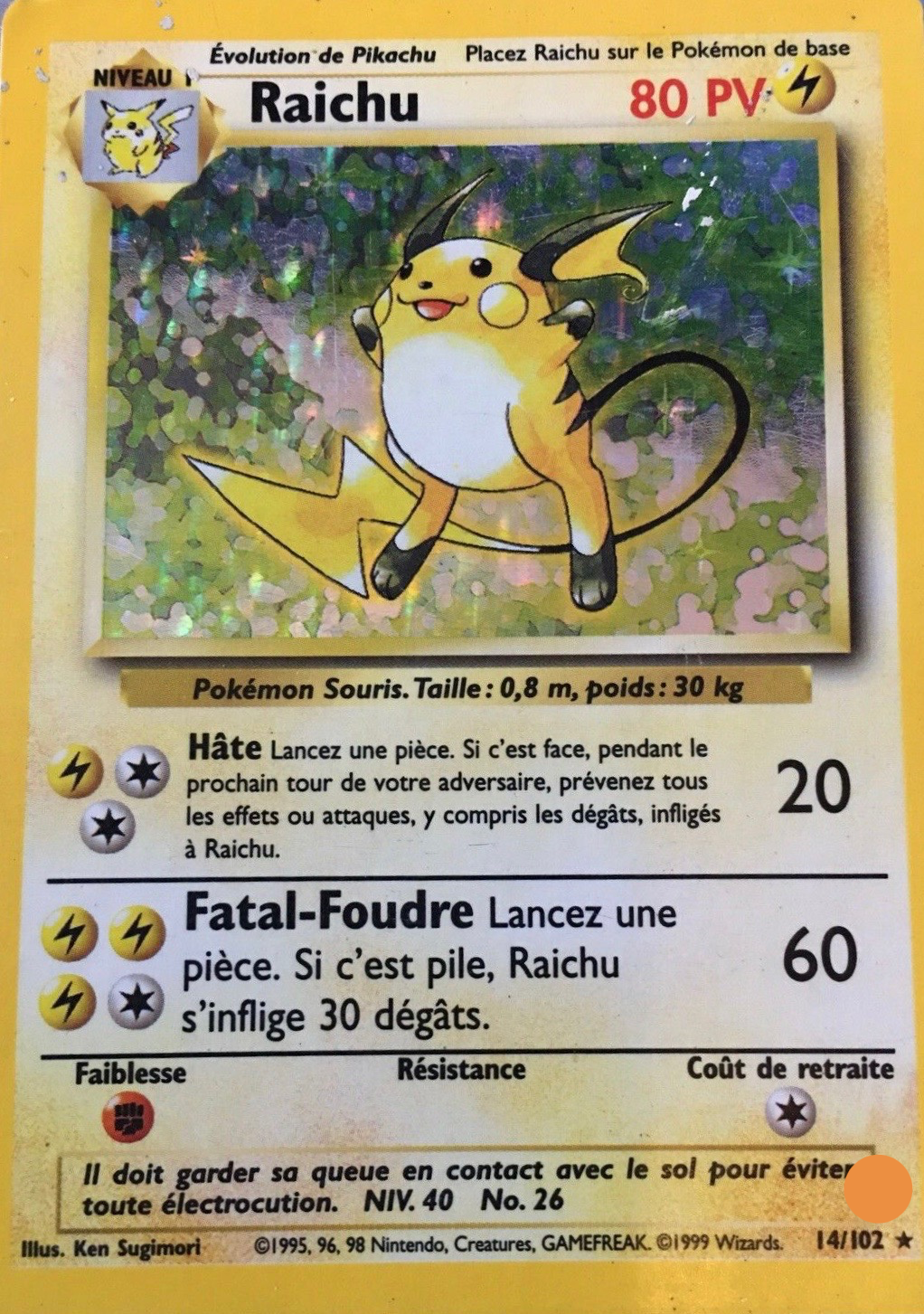 Raichu - 14/102