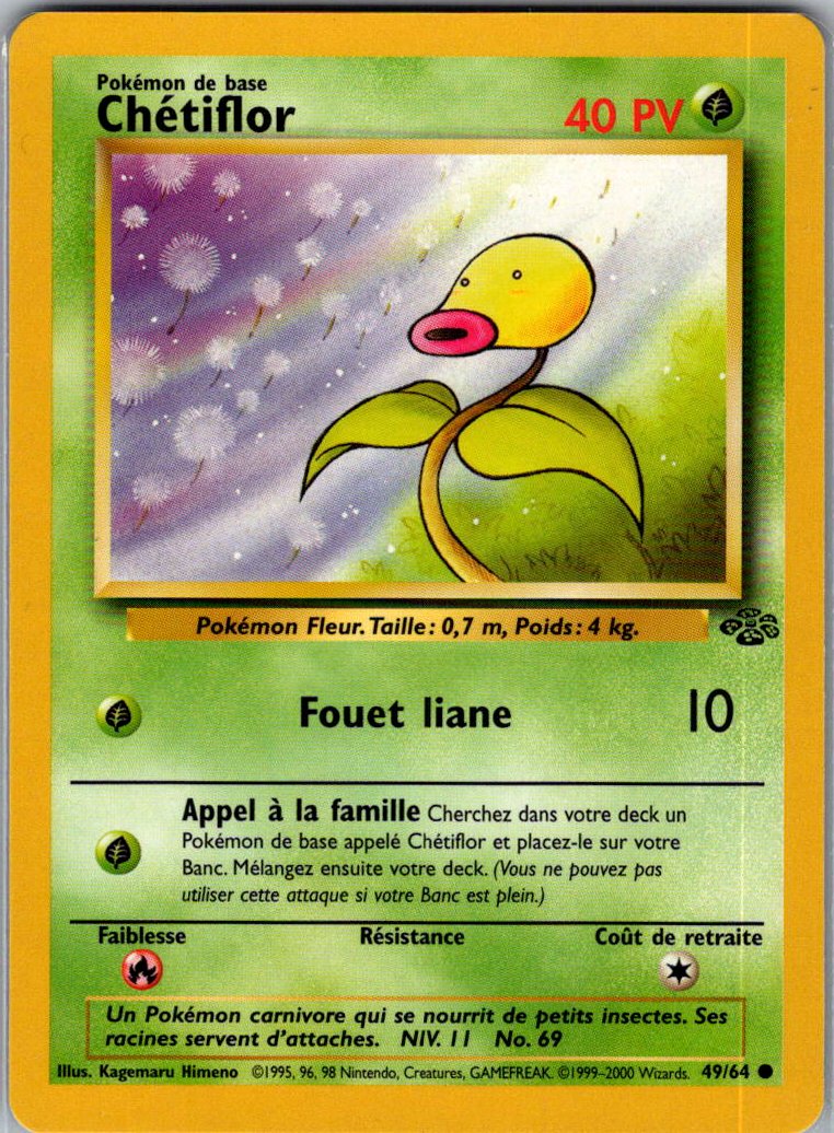 Chetiflor - jungle - edition 2 - FR