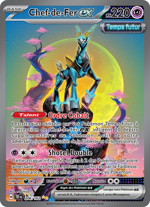 Chef-de-Fer ex (TEF 206)