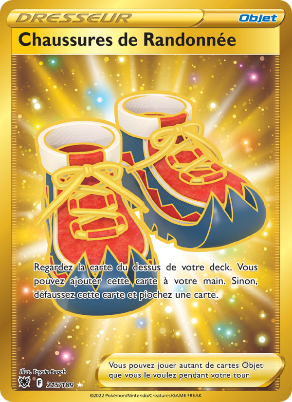 Chaussures de Randonnée (ASR 215)