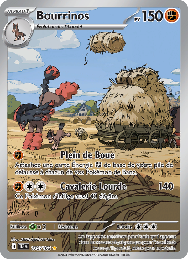 Bourrinos (TEF 175)