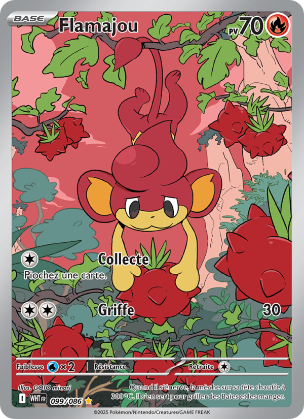 Flamajou (WHT 099)